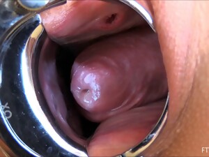 Primer plano, Inserción, Natural, Solo, Juguetes