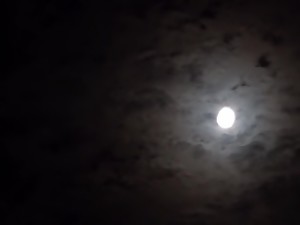 Limbi in cur, Facultate, Cupluri, Japonez, Tarfe