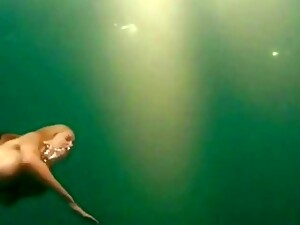 せれぶセレブ, 水中