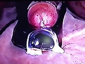 τακούνια, παπούτσια