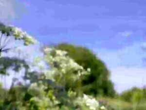 Buka pakaian, Anak didik