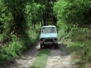 klassisk, fransyska, hårig, vintage