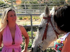 Memasukkan tangan, Lesbian