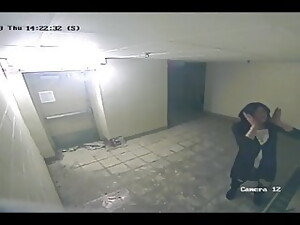 flashing, ladyboy, lingeri, udendørssex, shemale, strømpebukser, amatør